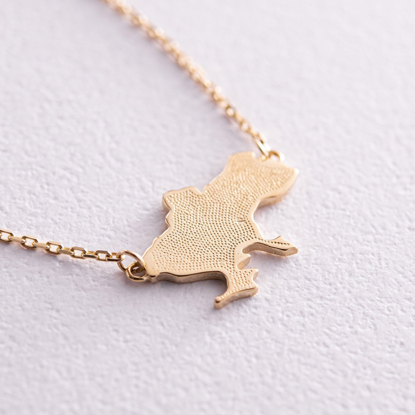 Gold Necklace "My Ukraine" (possible engraving)