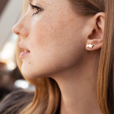 Stud Earrings "Map of Ukraine"