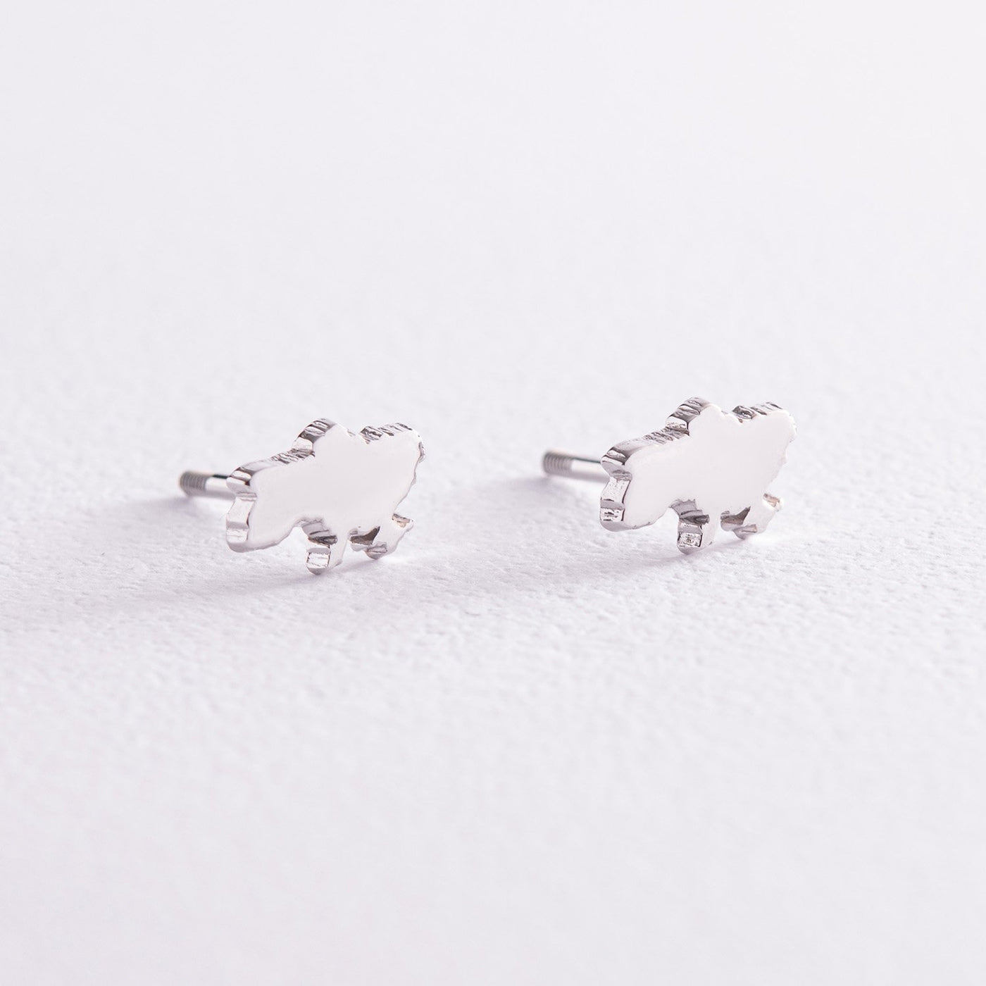 Stud Earrings "Map of Ukraine"