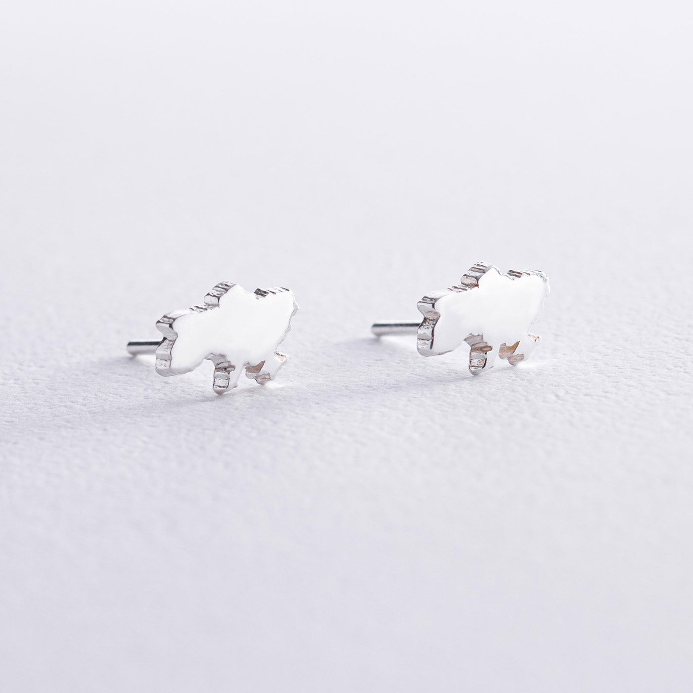 Stud Earrings "Map of Ukraine"