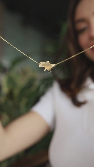 Necklace "Map of Ukraine"