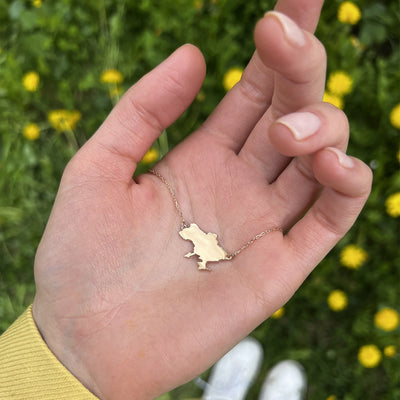 Necklace "Map of Ukraine"