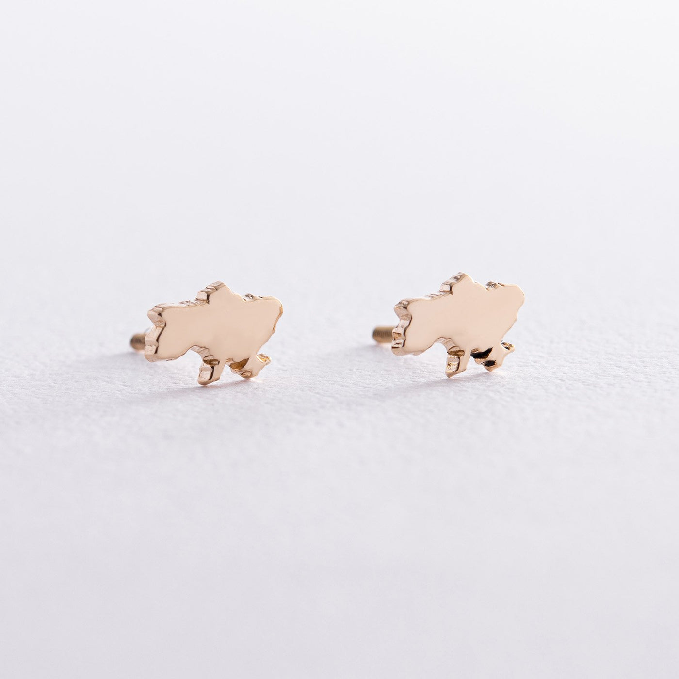 Stud Earrings "Map of Ukraine"