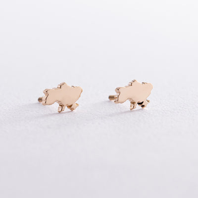 Stud Earrings "Map of Ukraine"