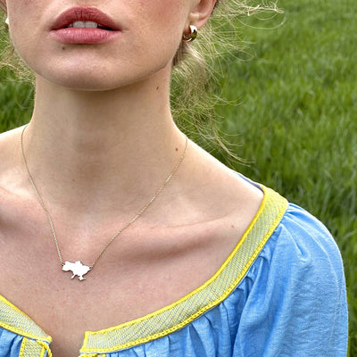 Necklace "Map of Ukraine"